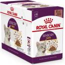 Royal Canin Feline Sensory Taste Gravy 12 x 85 g