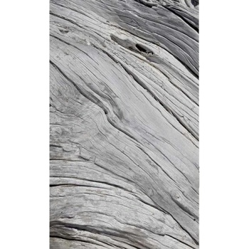 DIMEX ART s. r. o Флизелинов фототапет структура на дървото 150 x 250 см