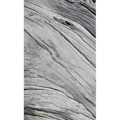 DIMEX ART Флизелинов фототапет структура на дървото 150 x 250 см
