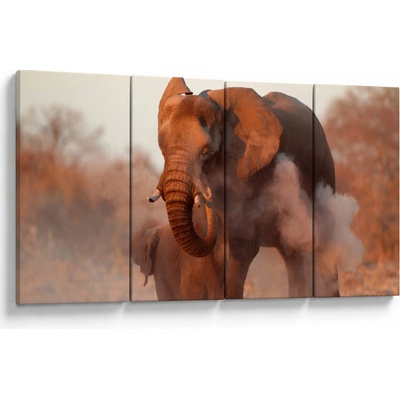 Obraz - Veľký slon africký, štvordielne 160x80 cm