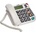 Maxcom KXT480