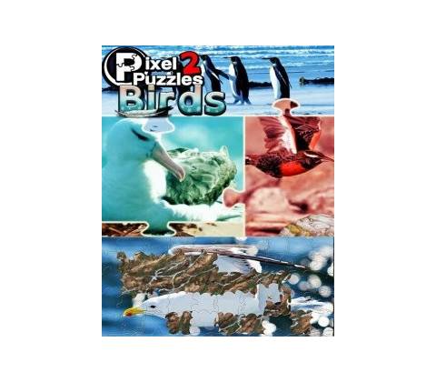 Pixel Puzzles 2: Birds