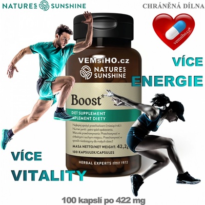 Nature's Sunshine Boost 100 kapslí po 422 mg
