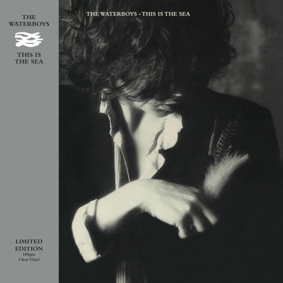 WATERBOYS - THIS IS THE SEA LP