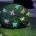 GLOBO Solar 33706-10