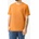 Flov Yuba orange