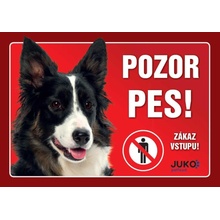 Juko Plastová tabuľa Pozor Pes Border Kólia 21 x 14,7 cm