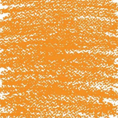 Van Gogh Olejový pastel Raw Sienna 5