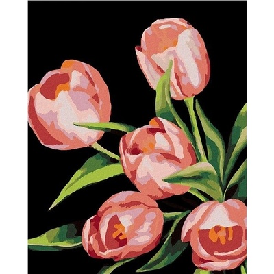Zuty Malování Podle Čísel Růžové Tulipány Myroslava Voloschuk 40 x 50 Cm Plátno Rám