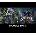 Tesla Force + Skeletal Avenger Bundle