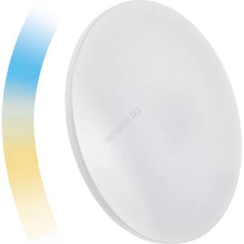 Wojnarowscy NYMPHEA WJ0425