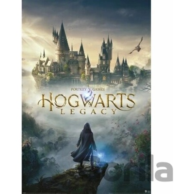 Plagát, Obraz - Harry Potter - Hogwarts Legacy, (61 x 91.5 cm)