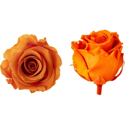 Hlavy ruží - princess 16 ks Orange - oranžová