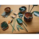 Image 1 of LEGO® ICONS™ - Creator - Bird of Paradise (10289)