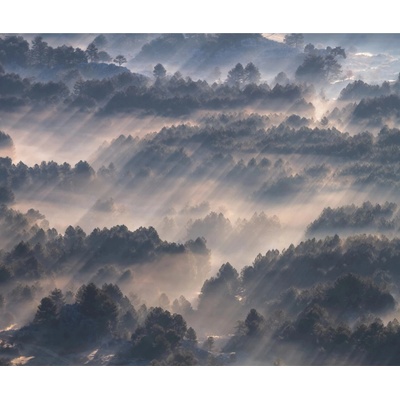 Komar Vliesová fototapeta Rays rozměry 300 x 250 cm