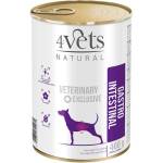 4Vets NATURAL Veterinary Exclusive GASTRO INTESTINAL 400 г