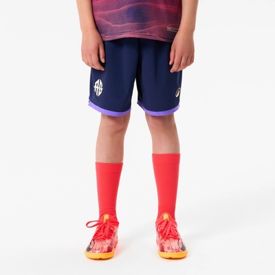 Kipsta Detské Viralto II Antoine Griezmann modro-fialové