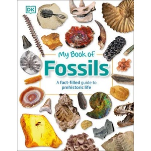 My Book of Fossils | DK (ISBN: 9780241533369)