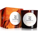 Himalyo Tibet IQ Aromatherapy Candle 315 g