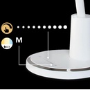 Image 1 of Rábalux Tekla 2977