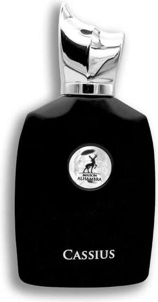 Alhambra Cassius EDP 100 ml
