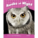 Penguin Kids 2 Awake At Night Reader CLIL