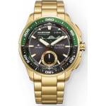 Citizen JV3002-51E Часовници