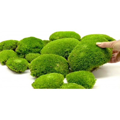 Stabilizovaný kopečkový mech (Ball Moss) Canopy | Světle zelený | 0,8m2