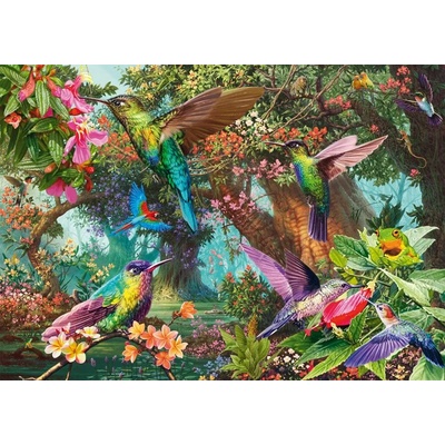 Schmidt Spiele - Puzzle Hummingbirds - 1 000 piese