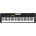 Casio CT S100