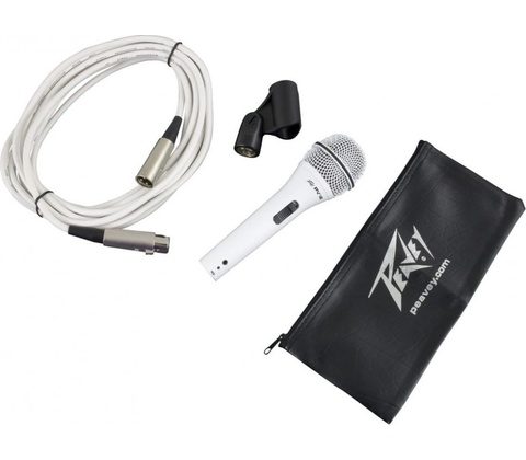 Peavey PVi 2W