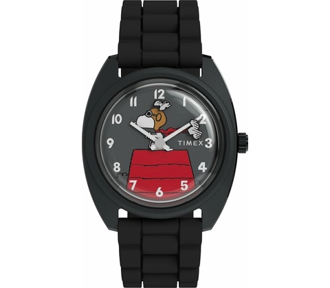 Timex TW2Y70900UK