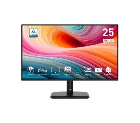 MSI PRO MP251L E2