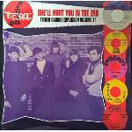 Various Artists - She'll Hurt You In The End (LP) (0633637660813)