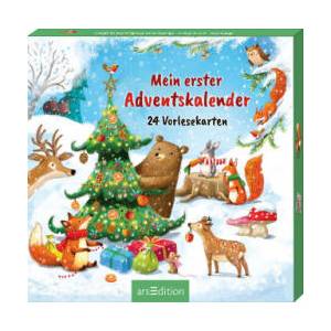 Mein erster Adventskalender | Ag Jatkowska (ISBN: 9783845862408)