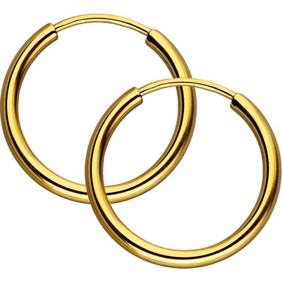 Zlaton Náušnice žluté zlato kruhy 1.7cm 1.1g 000170205250