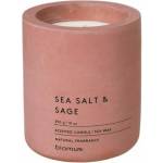 blomus Fraga sea salt & sage 290 g