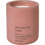 blomus Fraga sea salt & sage 290 g