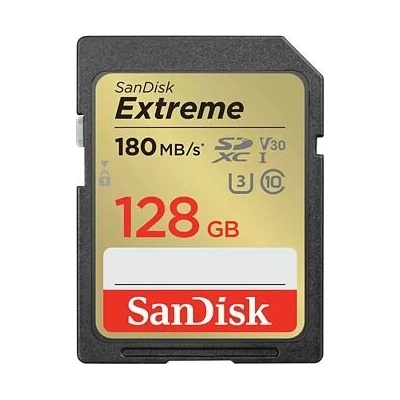 SanDisk Class 10 SDXC 128GB SDSDXVA-128G-GNCIN