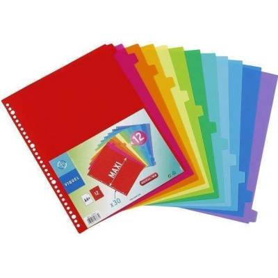 Viquel Rozlišovače, plastové, A4 Maxi, 12 částí, VIQUEL