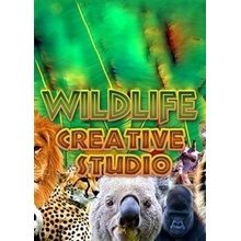 The Wildlife Creative Studio