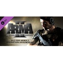 Arma 2: Private Military Company