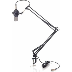 Bespeco MSRA10