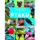 1000 ptáků -