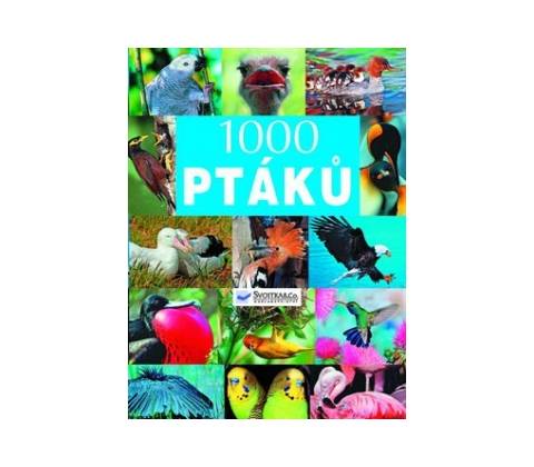 1000 ptáků -