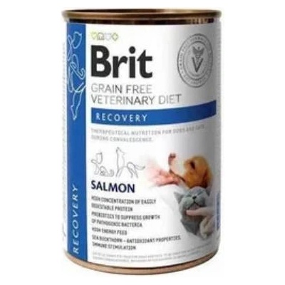 Brit VD Cat GF Recovery 0,4 kg