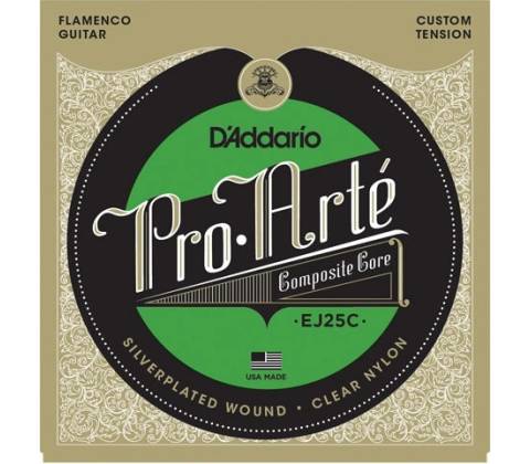 D'Addario EJ25C