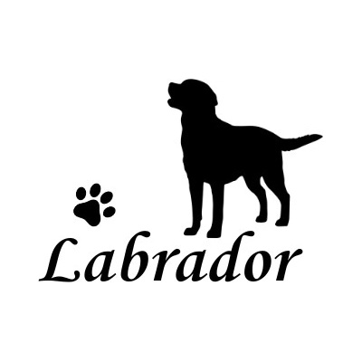 Nažehlovací nápis Labrador Vzor: 3, Potisk: černá, Motiv: srdce