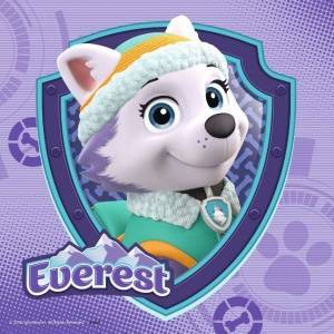 Ravensburger Puzzle 3x49 Paw Patrol Sky & Everest