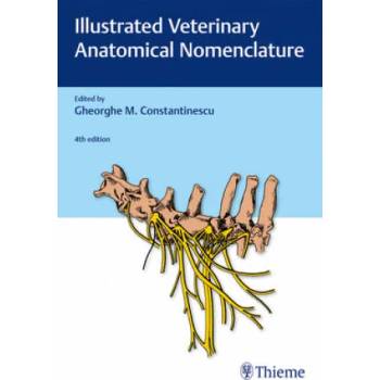 Image 1 of Illustrated Veterinary Anatomical Nomenclature | Oskar Schaller, Gheorghe M. Constantinescu